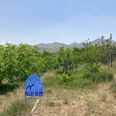 طالقان املاک کارن