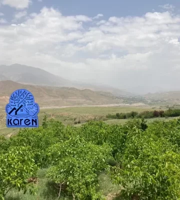 عکس باغ ویلا در طالقان برای فروش 2