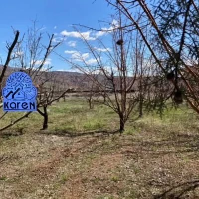 خرید زمین در طالقان -املاک کارن