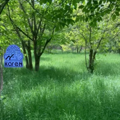 خرید باغ در طالقان /مشاوره املاک کارن طالقان