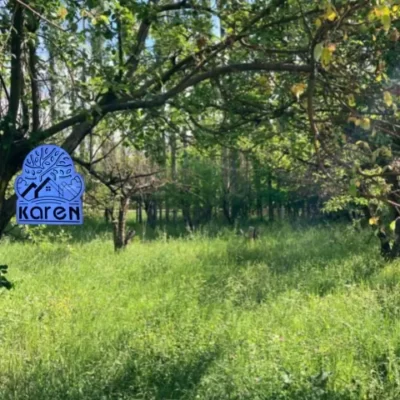 مشاوره املاک خرید باغ میوه در طالقان