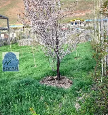 باغ مناسب طالقان