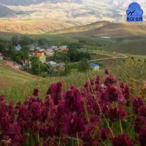 روستای ارتون پاین طالقان 