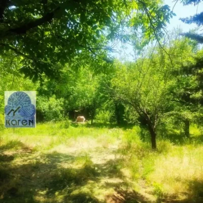 دو هزار متر باغ در طالقان