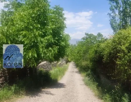 ۲ دو هزار متر،طالقان،سند شش دانگ