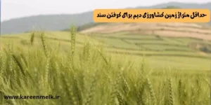 حداقل متراژ زمین کشاورزی دیم برای گرفتن سند